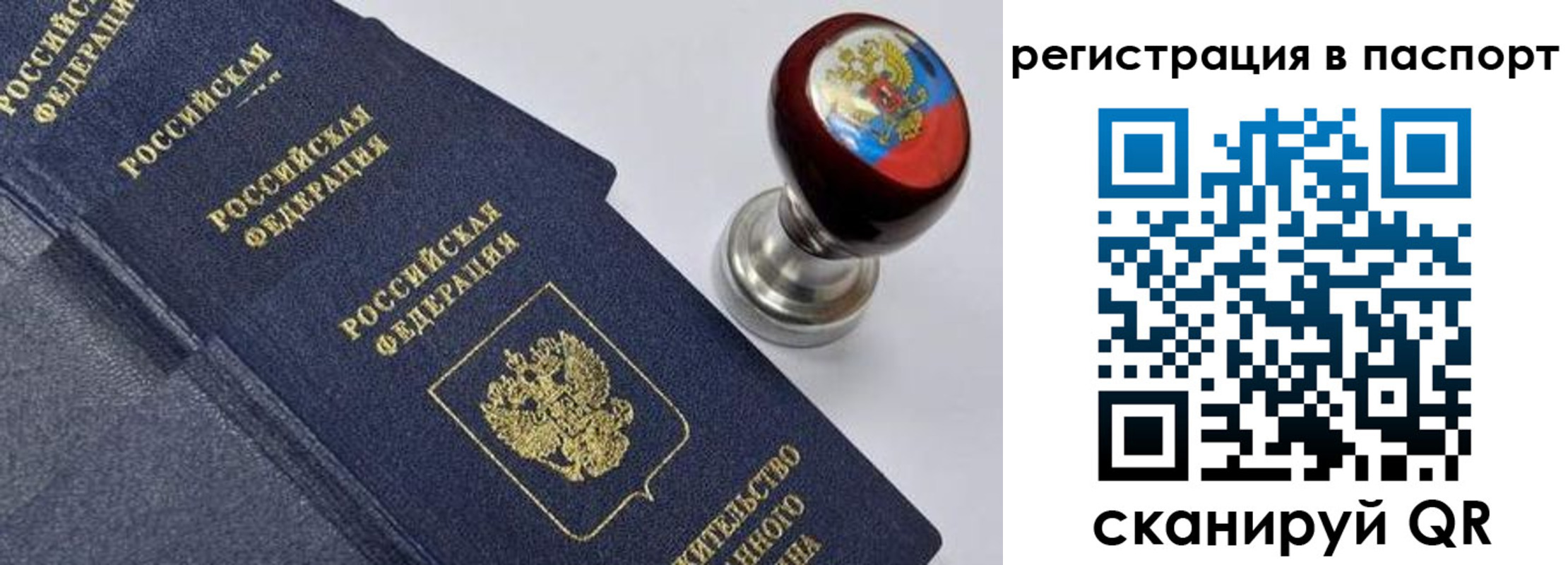 прописка поиск в Заинске